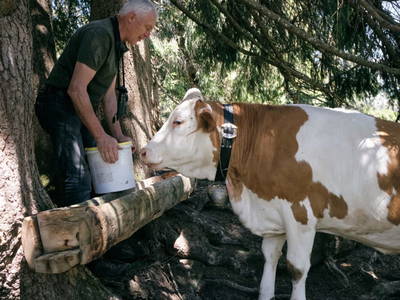 Bild 86 aus  Schloif Troadkastn