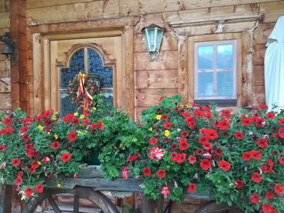 Bild 27 aus  Schwarzenbichlalm