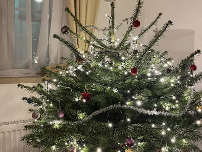 Weihnachtsbaum im Hoamatshaus 