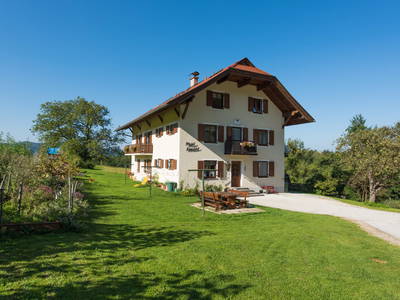 Bild 29 aus  Bauernhof Krainz