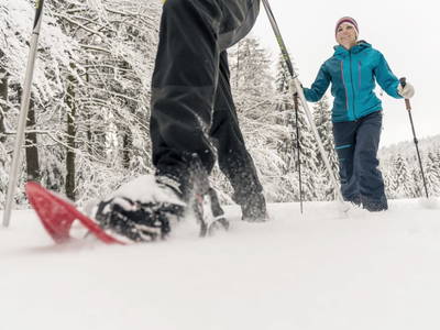 Bild 23 aus  Gut Pecketsberg