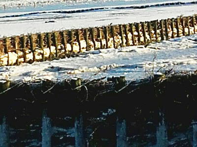 Bild 33 aus  Ferienhof Peter -  Ponys - streicheln, striegeln, füttern  -  Wattwanderungen + ganz viel Nordsee