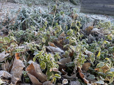 Bild 20 aus  Familien und Pferdebauernhof