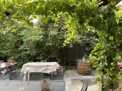 Bild 208 aus  Traubengarten Winkler