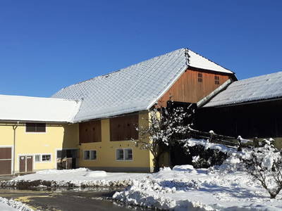 Bild 24 aus  Familienparadies Zeislerhof