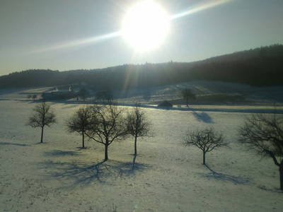 Bild 47 aus  Lugerfarm