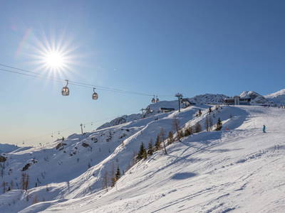 Bild 44 aus  Wohnen in der Honigmanufaktur - ein Urlaub zum Schwärmen