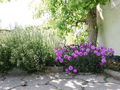 Bild 222 aus  Pimperlhof