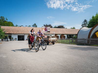 Bild 164 aus  Winzerhof Küssler, Weinviertel