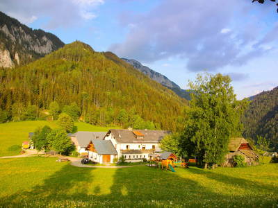 Bild 2 aus  Biobauernhof Lechnerbauer