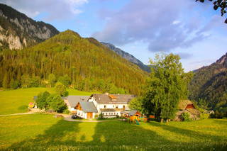 Biobauernhof Lechnerbauer aus Halltal