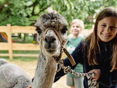 Bild 9 aus  Rabl vlg. Wirth