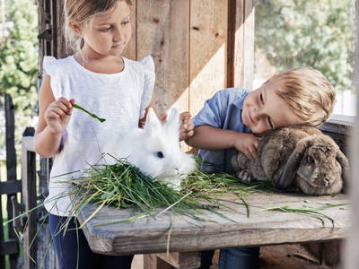 Bild 33 aus  Feriendorf Holzlebn