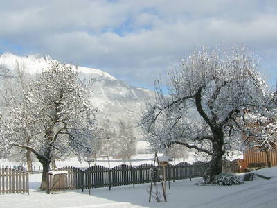 Bild 23 aus  Mandlhof