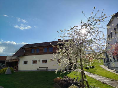 Bild 118 aus Promschhof