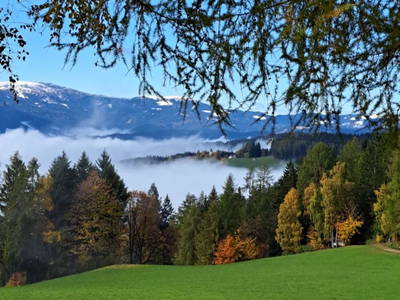 Bild 10 aus  Langhanshütte