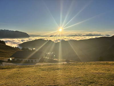 Bild 59 aus  Lochner Alm