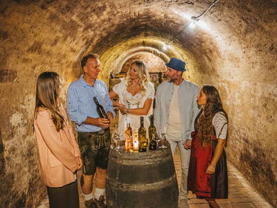 Bild 285 aus  Winzerhof Küssler, Weinviertel