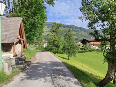 Bild 139 aus  Wermenerhof