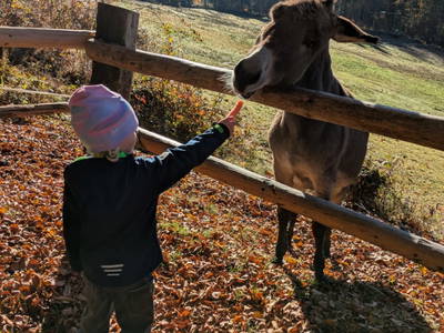 Bild 23 aus  Sonnhof