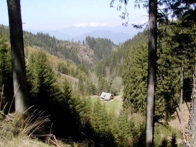 Bild 11 aus  Möschbauer