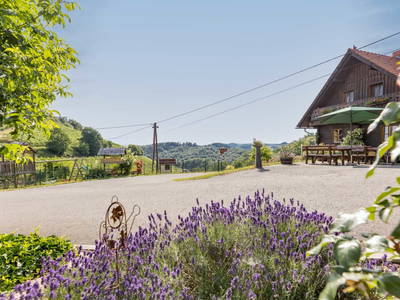 Bild 2 aus  Weingut & Buschenschank Pölzl