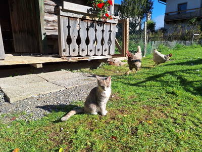 Bild 23 aus  Ausserraingut