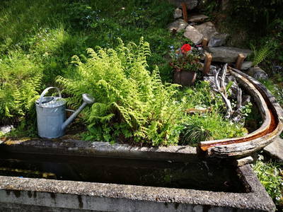 Bild 47 aus  Größingalm