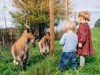 Bild 42 aus  Bio-Obstgut Oberhof