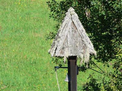 Bild 76 aus Natur-Gut Lassen
