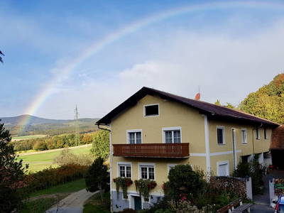 Bild 2 aus  Familien und Pferdebauernhof