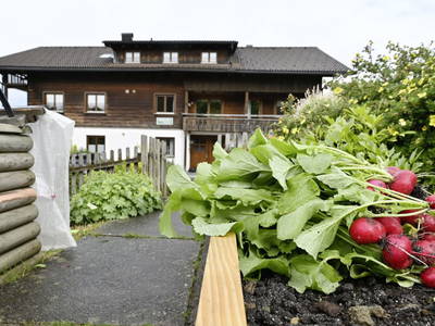Bild 19 aus Ferienbauernhof Fessler