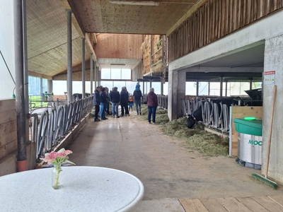Bild 15 aus  Ferienhof Muxel