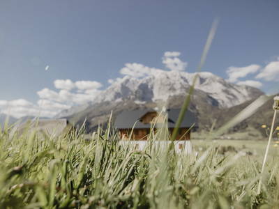 Bild 34 aus  Goschn Lehen