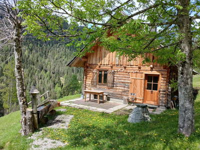 Bild 37 aus  Almhütte Meierle