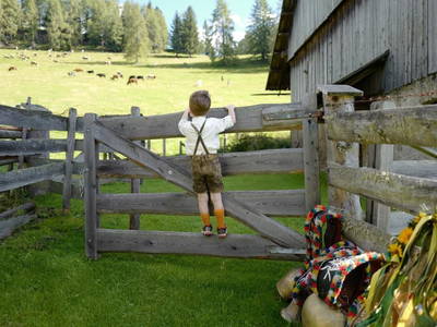 Bild 80 aus  Familienhotel-Gasthof Hinteregger