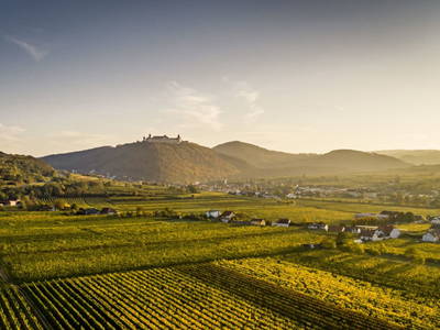 Bild 65 aus  Naturgartenurlaub - Steffis Ferienwohnungen