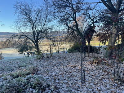 Bild 18 aus  Familien und Pferdebauernhof