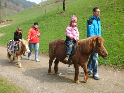 Bild 8 aus  Schillingerhof