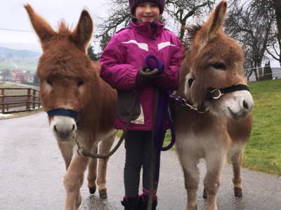 Bild 50 aus  Forstbauer