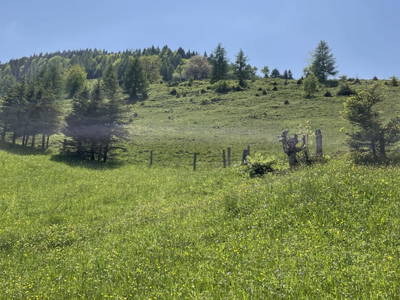 Bild 4 aus  Kühleitalm