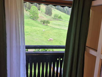 Bild 208 aus  Der Perweinhof