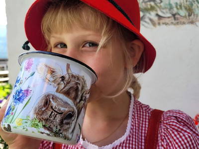 Bild 2 aus  Gerhard Groschacher vlg. Bartl