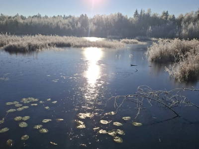 Bild 152 aus  Zehentnerhof