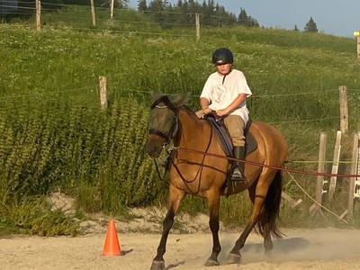 Bild 96 aus  Matlhof