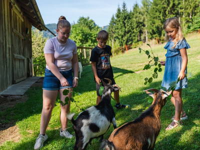 Bild 185 aus  Ferienwohnungen Perhofer