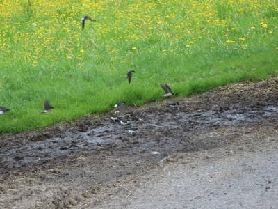 Bild 23 aus  Loitzhof