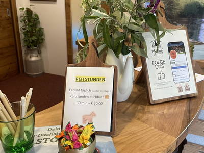 Bild 5 aus  Heisshof 