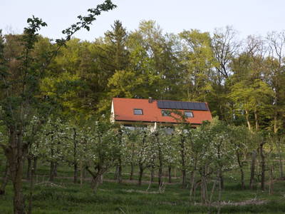 Bild 85 aus  Refugium am Wald