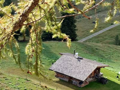 Bild 3 aus Schuster Alm